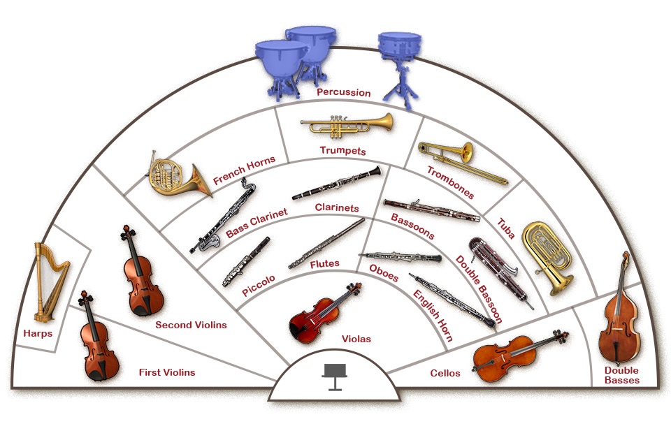 Difference Between Violin and Violas - (Yes They Are Not The Same)