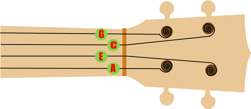 How To Properly Tune Your Ukulele 7862